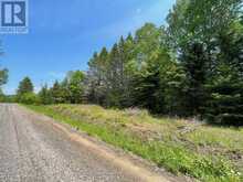 0 BARRETT ROAD | Parry Sound Ontario | Slide Image Fourteen