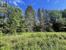0 BARRETT ROAD | Parry Sound Ontario | Slide Image Eighteen