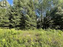 0 BARRETT ROAD | Parry Sound Ontario | Slide Image Nineteen