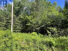 0 BARRETT ROAD | Parry Sound Ontario | Slide Image Twenty
