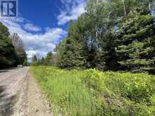 0 BARRETT ROAD | Parry Sound Ontario | Slide Image Twenty-one