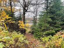 75 GRANITE DRIVE | Huntsville Ontario | Slide Image Thirteen