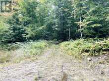 75 GRANITE DRIVE | Huntsville Ontario | Slide Image Seven