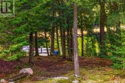 121 POOR MANS ROAD | Parry Sound Ontario | Slide Image Thirty-six
