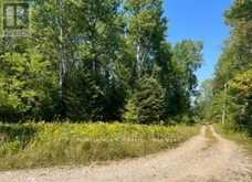 25 I STREET | Manitoulin Island Ontario | Slide Image Three