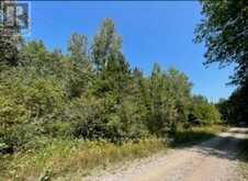25 I STREET | Manitoulin Island Ontario | Slide Image Six