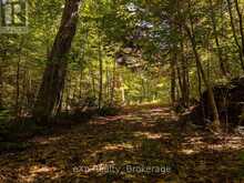 4 FIRE ROUTE 140 (TURTLE LANE) LANE | McKellar Ontario | Slide Image Twenty-four