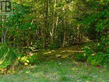 4 FIRE ROUTE 140 (TURTLE LANE) LANE | McKellar Ontario | Slide Image Thirty-eight