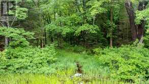 3 KINGFISHER ROAD | McDougall Ontario | Slide Image Fourteen