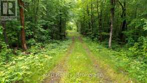 3 KINGFISHER ROAD | McDougall Ontario | Slide Image One