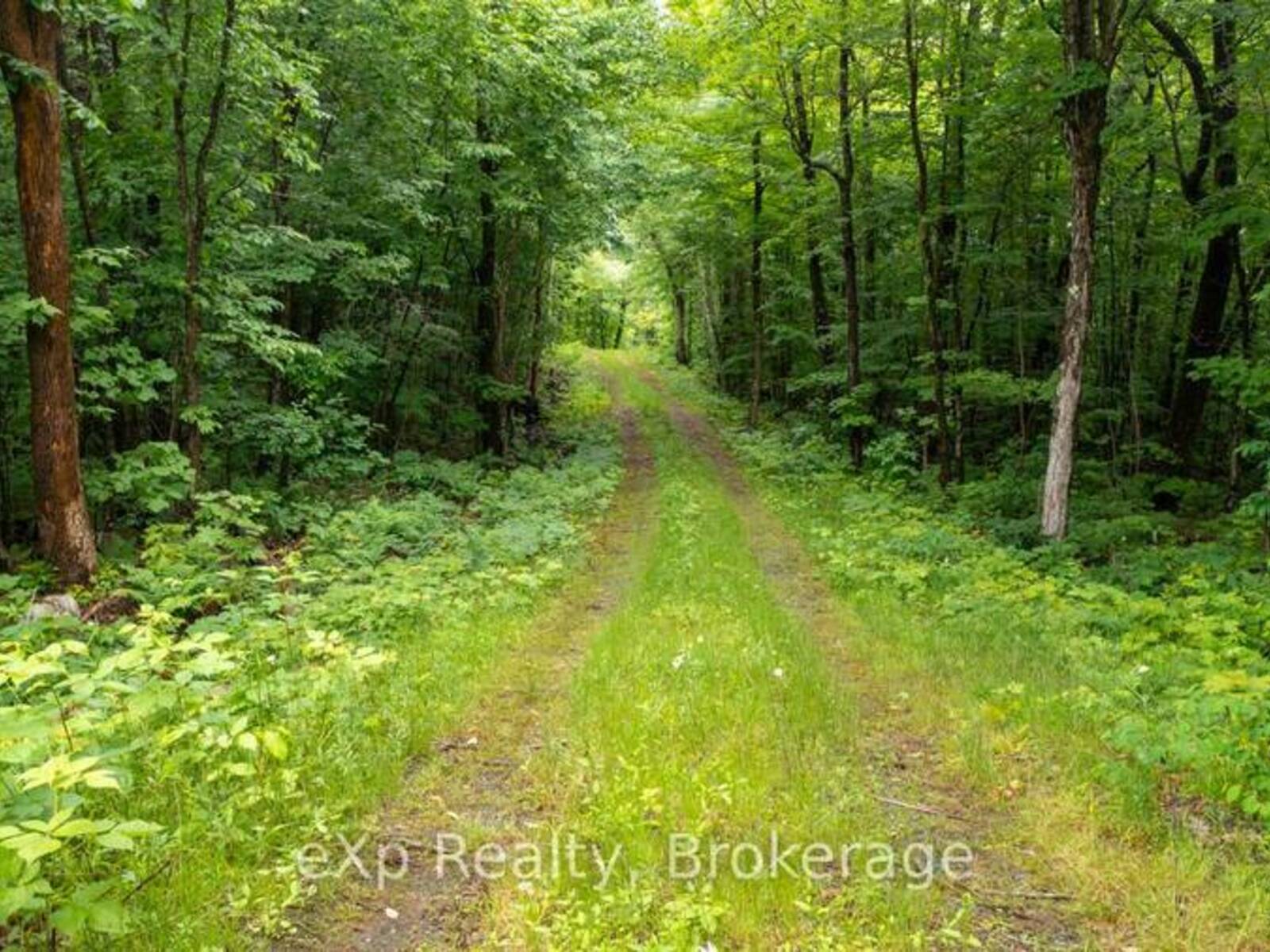 3 KINGFISHER ROAD, McDougall, Ontario P2A 2W9