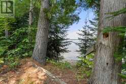 1753 NORTHSHORE ROAD | Algonquin Highlands Ontario | Slide Image Forty-three