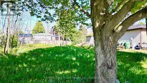 15 TACKABURY STREET | Lion's Head Ontario | Slide Image Two