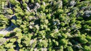 LOT 22 RAY DRIVE | Tobermory Ontario | Slide Image Sixteen