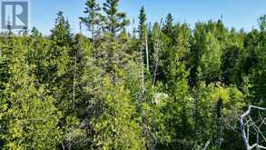 LOT 22 RAY DRIVE | Tobermory Ontario | Slide Image Twenty-one