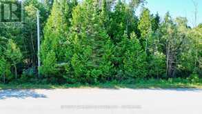 LOT 30 MYLES DRIVE | Tobermory Ontario | Slide Image Fifteen
