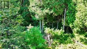 LOT 30 MYLES DRIVE | Tobermory Ontario | Slide Image Eight