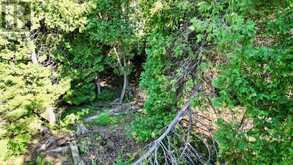 LOT 30 MYLES DRIVE | Tobermory Ontario | Slide Image Seven