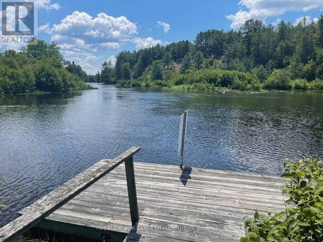 1036 PRIVET DRIVE Minden Hills Ontario, K0M 2A1 - Waterfront Land For Sale