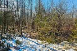 180 BOWLES BLUFF ROAD | Markdale Ontario | Slide Image Three
