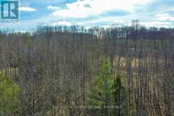 180 BOWLES BLUFF ROAD | Markdale Ontario | Slide Image Four