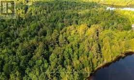 990 SHAWANAGA LAKE ROAD | Whitestone Ontario | Slide Image Eight