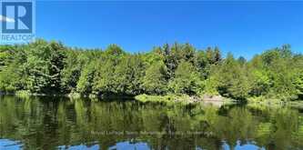 990 SHAWANAGA LAKE ROAD | Whitestone Ontario | Slide Image Two