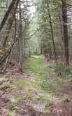 579 CAPE HURD ROAD | Tobermory Ontario | Slide Image Thirty-five