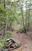 579 CAPE HURD ROAD | Tobermory Ontario | Slide Image Thirty-eight