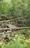 579 CAPE HURD ROAD | Tobermory Ontario | Slide Image Thirty-four