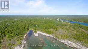 579 CAPE HURD ROAD | Tobermory Ontario | Slide Image Forty-eight