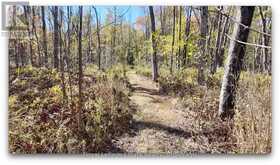 PT LT 36 & PT LT 37 13 CONCESSION | South Bruce Peninsula Ontario | Slide Image Six