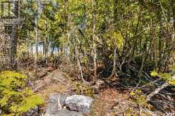 23 PEDWELL DRIVE | Tobermory Ontario | Slide Image Fifteen