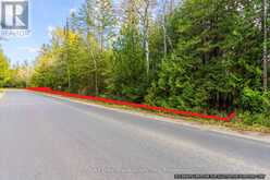 FM LT 4 NICHOLAS STREET | Tobermory Ontario | Slide Image Fourteen