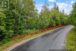 PT FARM LT 4 NICHOLAS STREET | Tobermory Ontario | Slide Image Three