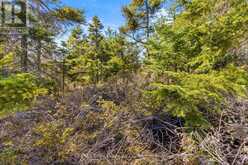 PT FM LT 4 CHI SIN TIB DEK ROAD | Tobermory Ontario | Slide Image Seven