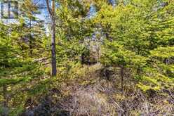 PT FM LT 4 CHI SIN TIB DEK ROAD | Tobermory Ontario | Slide Image Nine