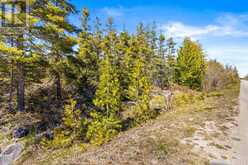 PT FM LT 4 CHI SIN TIB DEK ROAD | Tobermory Ontario | Slide Image Six