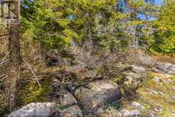 PT FM LT 4 CHI SIN TIB DEK ROAD | Tobermory Ontario | Slide Image Eight
