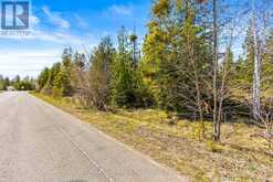 PT FM LT 4 CHI SIN TIB DEK ROAD | Tobermory Ontario | Slide Image Two