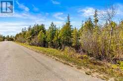 PT FARM LT 4 CHI SIN TIB DEK ROAD | Tobermory Ontario | Slide Image Three