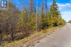 PART FM LOT 4 CHI SIN TIB DEK ROAD | Tobermory Ontario | Slide Image Two
