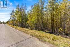PART FM LOT 4 CHI SIN TIB DEK ROAD | Tobermory Ontario | Slide Image Six