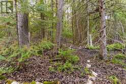 PART FARM LOT 4 CHI SIN TIB DEK ROAD | Tobermory Ontario | Slide Image Ten