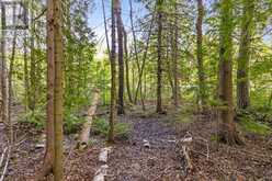 PART FARM LOT 4 CHI SIN TIB DEK ROAD | Tobermory Ontario | Slide Image Twelve