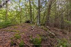PART FARM LOT 4 CHI SIN TIB DEK ROAD | Tobermory Ontario | Slide Image Fourteen