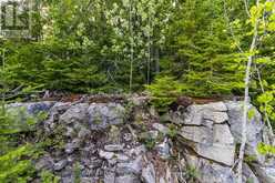 PART FARM LOT 4 CHI SIN TIB DEK ROAD | Tobermory Ontario | Slide Image Sixteen