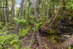 PART FARM LOT 4 CHI SIN TIB DEK ROAD | Tobermory Ontario | Slide Image Seventeen