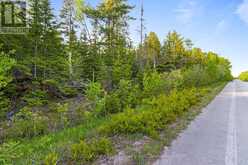 PART FARM LOT 4 CHI SIN TIB DEK ROAD | Tobermory Ontario | Slide Image Five