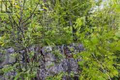 PART FARM LOT 4 CHI SIN TIB DEK ROAD | Tobermory Ontario | Slide Image Seven